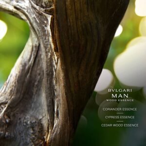 Bvlgari Man Wood Essence 100ml - парфюм за мъже - Image 4